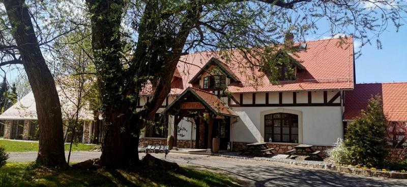 Hotel Pod Lipami Lwowek Slaski Exterior foto